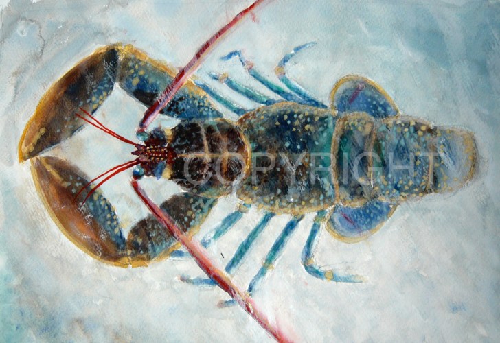 P1140658 copy for WATERMARK