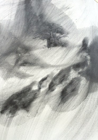 The Cherry Tree. (charcoal and pencil on gesso coated paper)