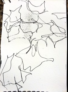 Line drawing of shadows from the cherry tree moving in the wind...