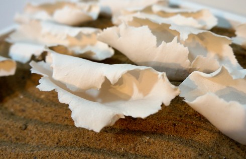 Unglazed forms displayed on sand